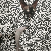 Wavy (Little) - Sleepwear - Thumbnail 2