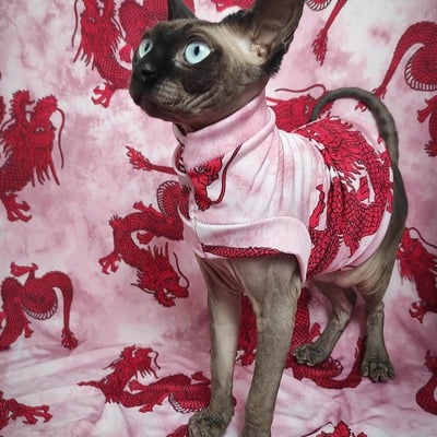 Chinese dragon  - sleepwear