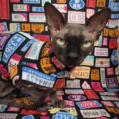 Beep beep - sleepwear