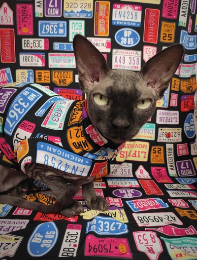 Beep Beep - Sleepwear