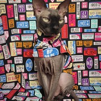 Beep Beep - Sleepwear - Thumbnail 1