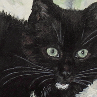 "Kitten And A Favorite Toy" Tuxedo cat art, Original Acrylic Painting By N.E.Thompson, 11x14 Inches - Thumbnail 1