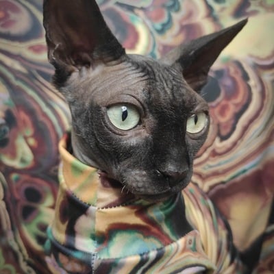 Marbleized - sleepwear