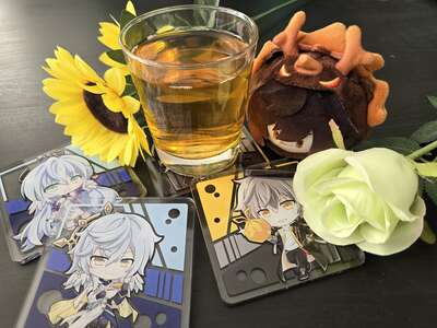 Honkai Star Rail Acrylic Coasters