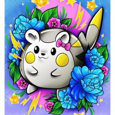 Autographed pokémon buddies togedemaru & minior!