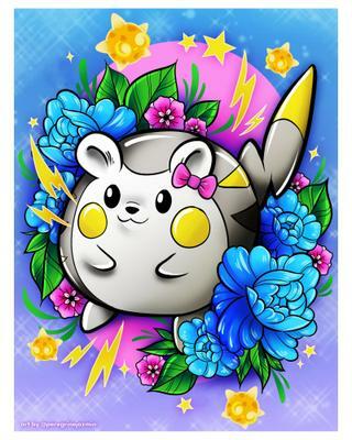 Autographed Pokémon Buddies Togedemaru & Minior!