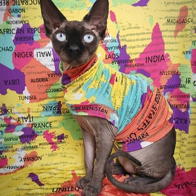 Global dominance - sleepwear