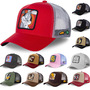 Baseball Cap Adjustable Size Mens and Womans Mesh Caps MARTIAN Rainbow-1