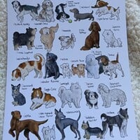 A - Z Dog Print - Thumbnail 1