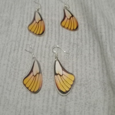 Yellow butterfly wing earrings 