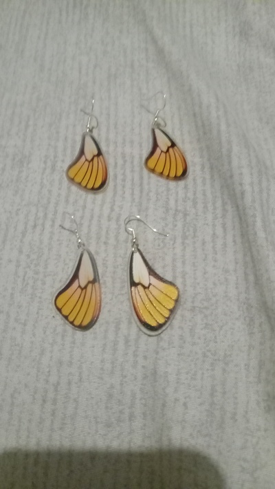 Yellow Butterfly Wing Earrings 