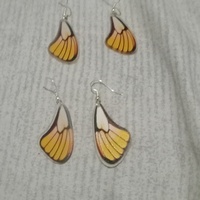 Yellow Butterfly Wing Earrings  - Thumbnail 1