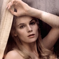 Photo poster, retro,Vicki Peters 1972, large size 24.0157x47.6378 inches. Wall decoration, home decor, gift. - Thumbnail 2