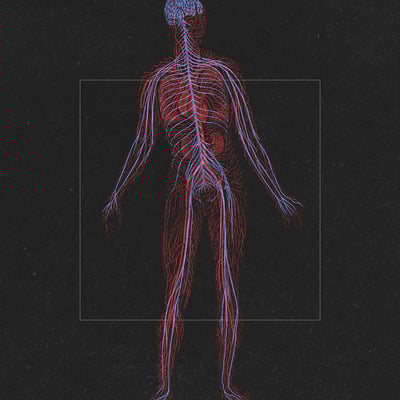 Rare: curiosa naturæ 000 - large giclée print 16" x 20"