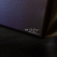 ONLY ONE: digital horizons 001 ARTIST PROOF one-off canvas (36" x 24") - Thumbnail 2