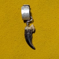 Real coyote claw on silver-plated brass ear cuff
