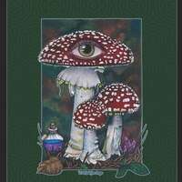 "Mushroom" Unisex Sublimation T-Shirt - Thumbnail 3