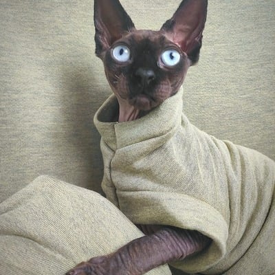 Green machine yeezus