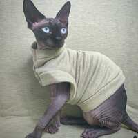 Green Machine Yeezus - Thumbnail 1