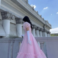 Vintage Princess A Line Pink Prom Dresses - Thumbnail 1