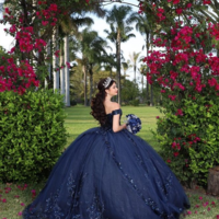 Ball Gown Navy Blue Quinceañera Dress Sweet 16 Dress - Thumbnail 2