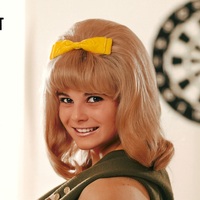 Photo poster, retro,DeDe Lind 1967, large size 24.0157x47.6378 inches. Wall decoration, home decor, gift. - Thumbnail 2