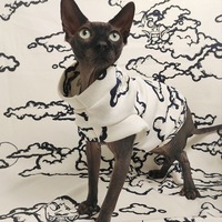 In The Clouds - Thumbnail 1