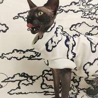 In The Clouds - Thumbnail 2