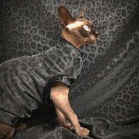 Black Cat  - Thumbnail 2