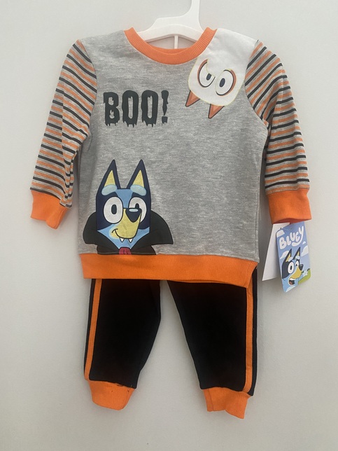 BlueyBoo Sweatshirt and Sweatpants Set size 18 months