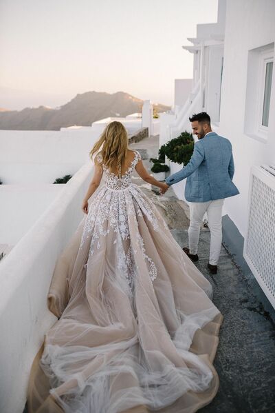 Champagne Wedding Gown Wedding Dress, Appliques Tulle Wedding Gown Bridal Dress