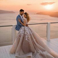 Champagne Wedding Gown Wedding Dress, Appliques Tulle Wedding Gown Bridal Dress - Thumbnail 1