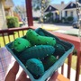 Felt Beaded Pickle-1