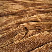 Brass In Pocket - Velvet - Thumbnail 3