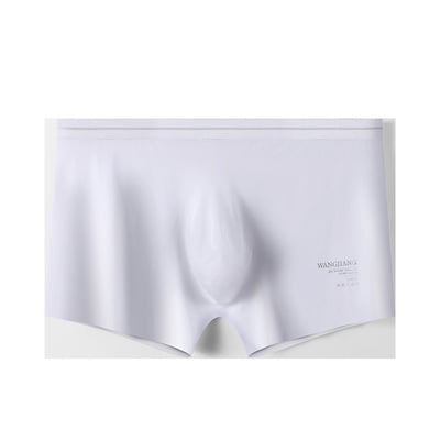 3pk men's sexy underwear lingerie translucent quick-dry pouch boxer briefs white 3058pj