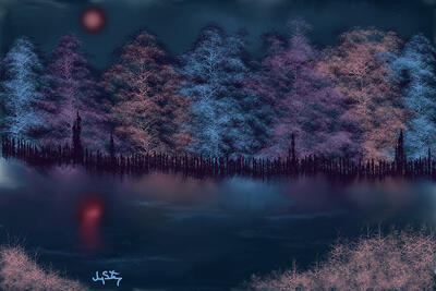 Midnight Forest Art Print