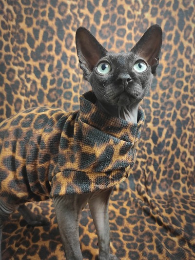 Dark Leopard - Thermal