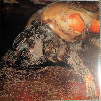 PISSGRAVE-MALINGANT WORTHLESSNESS LP - Thumbnail 2