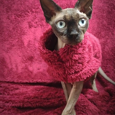 Crimson vegan fur