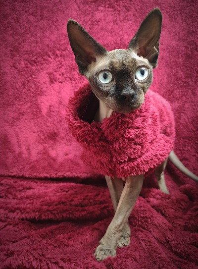 Crimson Vegan Fur