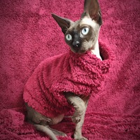 Crimson Vegan Fur - Thumbnail 1