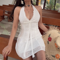 Holiday Style Casual Halter Neck Bow Sexy Lace Embroidered Dress - Thumbnail 1