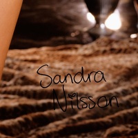 Photo poster, retro,Sandra Nilson 08, large size 24.0157x47.6378 inches. Wall decoration, home decor, gift. - Thumbnail 3