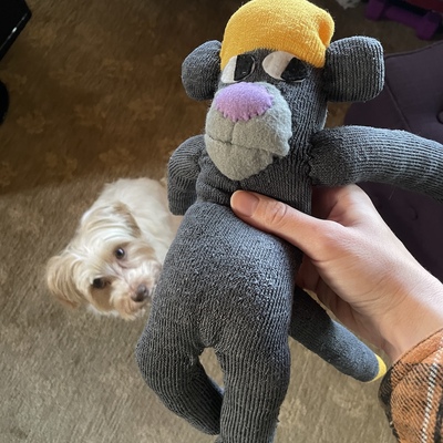 Sock monke plush