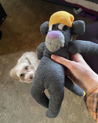 Sock Monke Plush