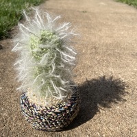 "New Classic Crocheted Cactus" by Amy Drever  - Thumbnail 1