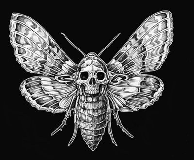 Death Moth sticker