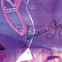 Photo poster, retro,Tamara Sky 07, large size 24.0157x47.6378 inches. Wall decoration, home decor, gift. - Thumbnail 3