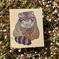 Single sticker collection - Thumbnail 6