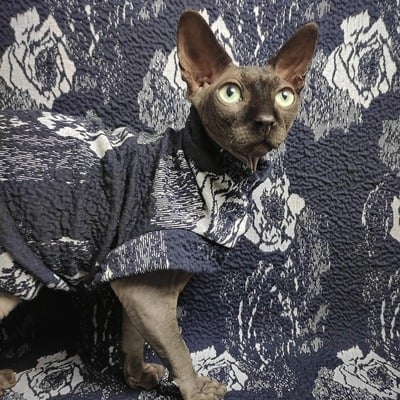 You don't bring me flowers